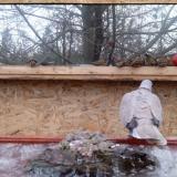 photo 2022-01-20 07-54-22