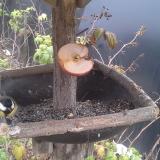 photo 2019-12-05 15-09-46