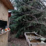 photo 2021-12-18 14-29-40