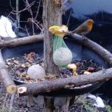 photo 2019-01-18 07-51-42