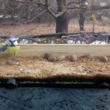 photo 2021-11-10 10-07-25