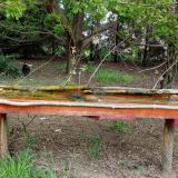 photo 2021-04-27 08-31-38