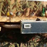 photo 2021-02-15 12-20-56