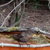 photo 2021-04-19 17-20-10 rigo