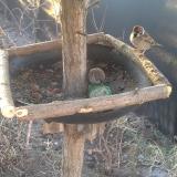 photo 2019-02-14 07-36-22