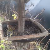 photo 2019-12-25 09-46-32