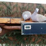 photo 2021-03-06 11-21-09