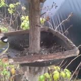 photo 2019-12-14 11-54-43