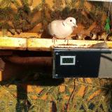 photo 2021-02-22 15-56-55