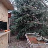 photo 2021-12-27 10-21-20