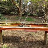 photo 2021-04-11 08-34-29