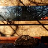 photo 2022-01-28 09-00-49