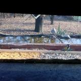 photo 2021-12-03 12-18-38