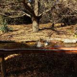 photo 2021-10-25 14-32-49