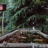 photo 2023-10-09 18-06-43