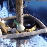 photo 2019-01-21 14-56-13