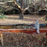 photo 2021-10-26 08-43-31