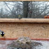 photo 2022-01-20 09-23-11