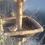 photo 2019-12-29 15-16-04