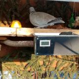 photo 2021-02-11 15-35-48