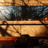 photo 2022-01-24 08-54-28