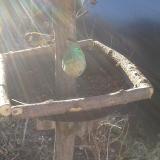 photo 2019-02-12 08-19-33