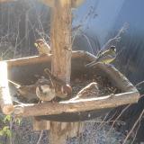 photo 2019-12-28 10-09-58