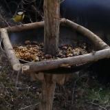 photo 2019-01-04 11-33-01