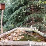 photo 2023-10-08 11-11-12