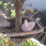 photo 2019-12-02 09-57-27