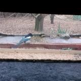 photo 2021-12-09 08-46-20