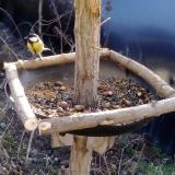 photo 2019-01-03 10-47-58