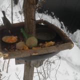 photo 2019-01-23 08-22-18