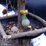 photo 2019-01-16 07-30-24