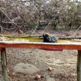 photo 2021-03-15 08-58-14