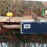 photo 2021-02-14 09-41-32