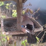 photo 2019-12-12 12-41-33