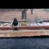 photo 2021-11-22 08-25-02