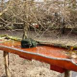 photo 2021-03-19 08-16-14