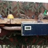 photo 2021-02-08 11-01-29