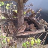 photo 2019-12-12 12-54-42