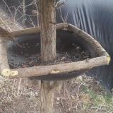 photo 2019-02-24 12-16-56