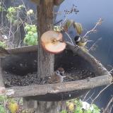 photo 2019-12-05 15-16-46