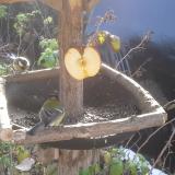 photo 2019-12-03 10-12-28