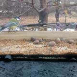 photo 2021-11-10 09-58-43