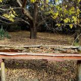 photo 2021-10-21 09-52-54