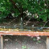 photo 2021-08-04 13-48-02