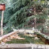 photo 2023-10-04 11-02-29