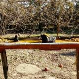 photo 2021-03-13 09-26-43