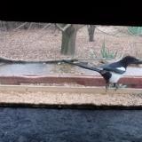 photo 2021-12-09 08-33-11